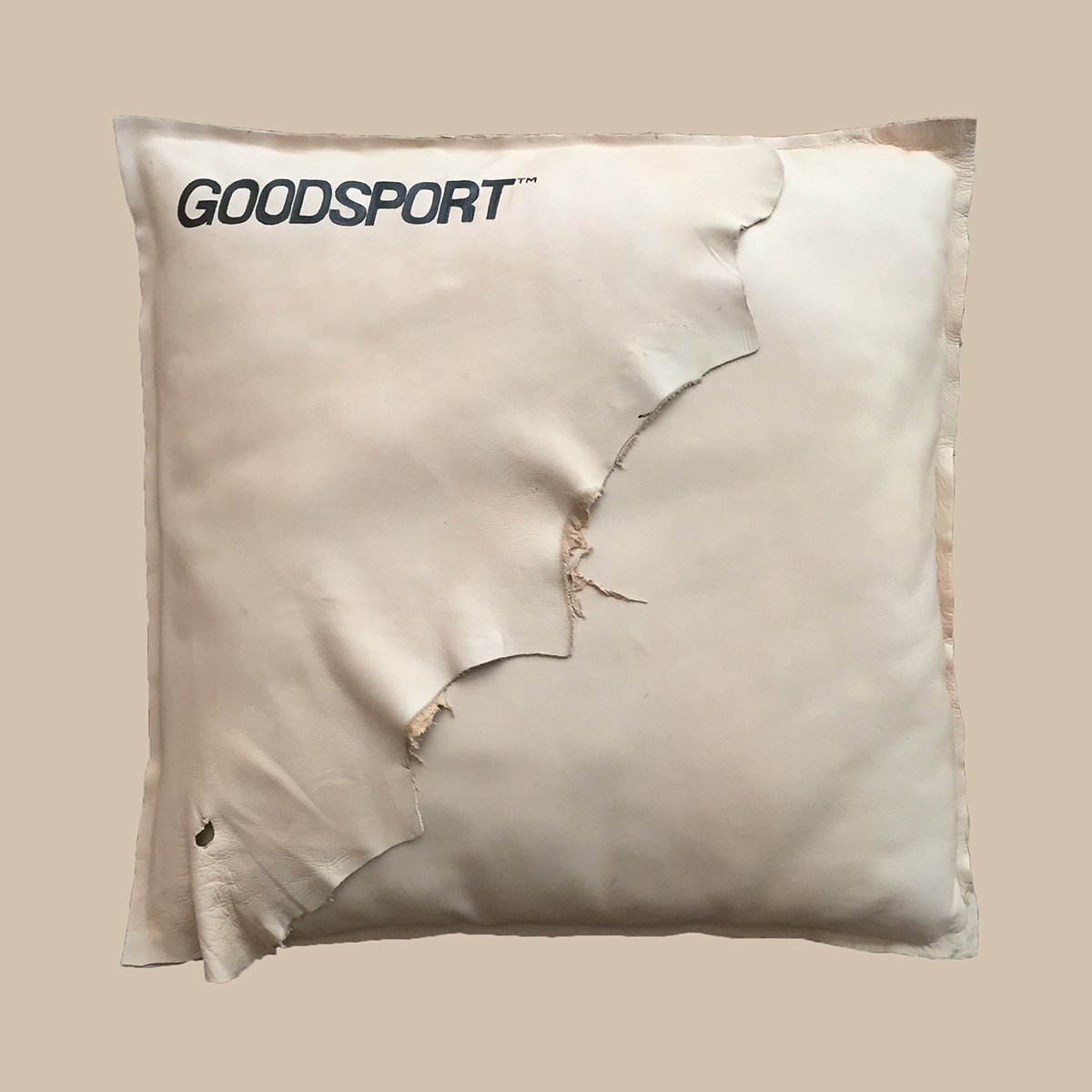 GoodSport Pillow
