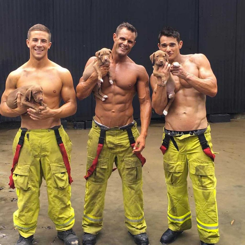 calendrier des pompiers chiots Australie