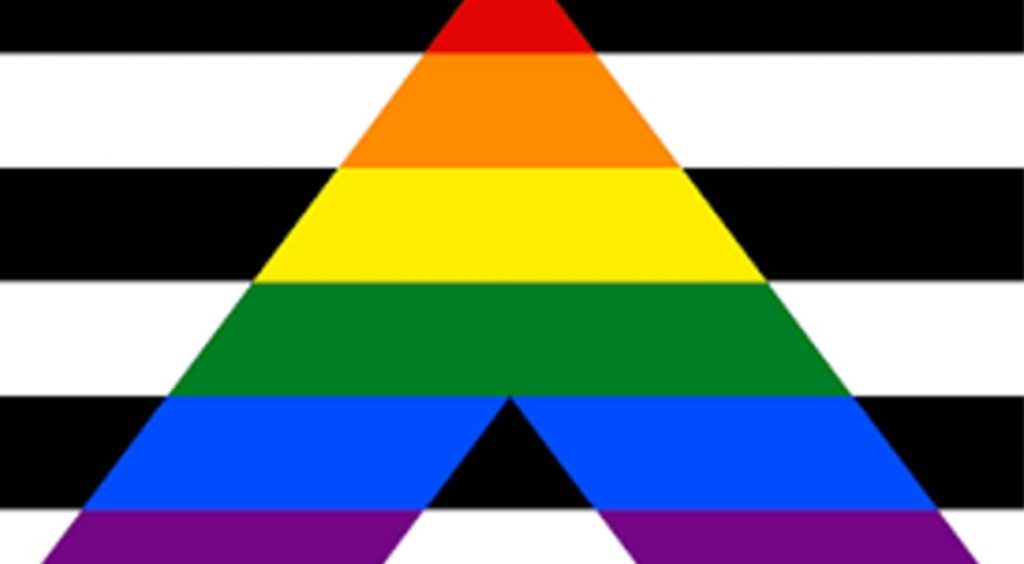 Grand Drapeau Rainbow (Rainbow Flag) Drapeaux LGBTQIA+
