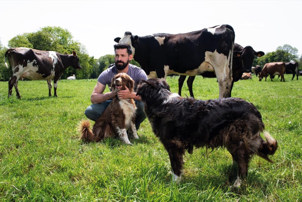 Pascal au milieu d'un pré avec de ses chiens et de ses vaches