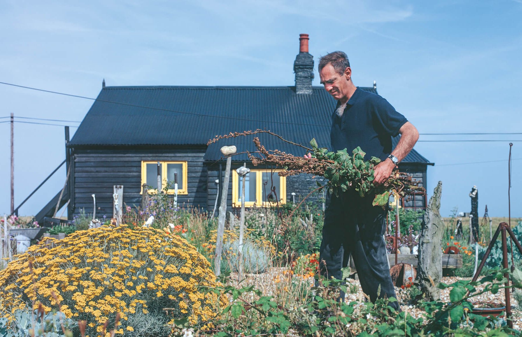 Derek Jarman jardinant devant sa maison noire, sur la lande de Dungeness dans le Kent