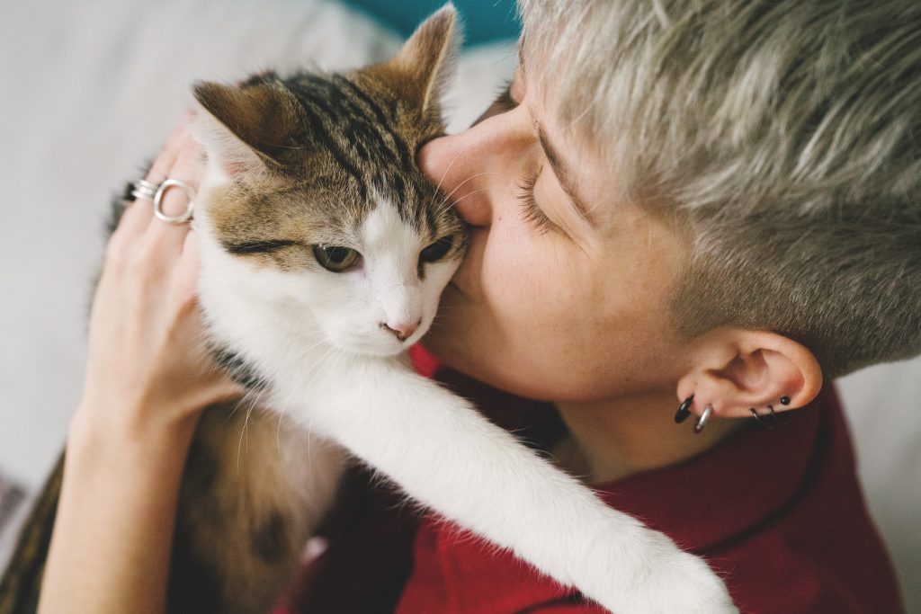 Qui garde le chat ou le chien en cas de rupture amoureuse ?