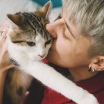 Qui garde le chat ou le chien en cas de rupture amoureuse ?