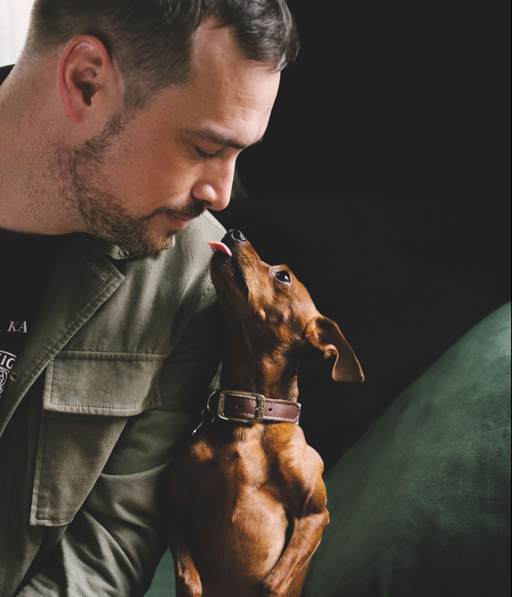 Qui garde le chat ou le chien en cas de rupture amoureuse ?