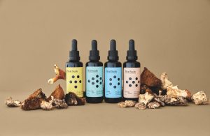 La marque Mindstudio a développé une ligne d'élixirs en compléments alimentaires à base de champignons.