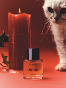 "Oud rose", par Horace.