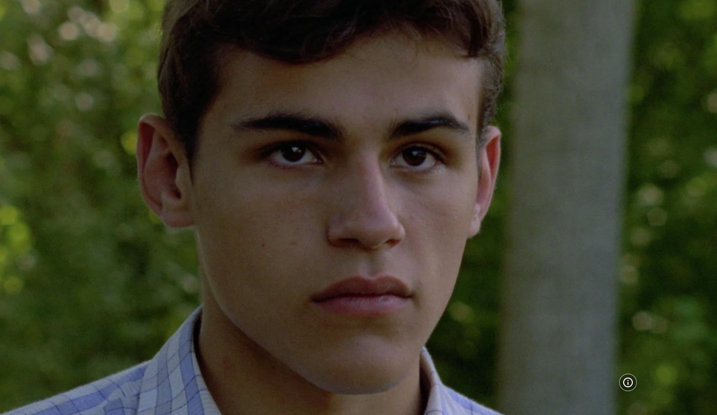 Stéphane Rideau dans "Les Roseaux sauvages"